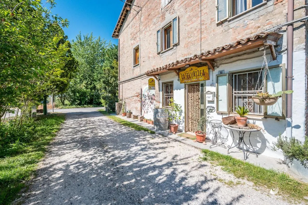 Selvatica50 B&B Nonantola