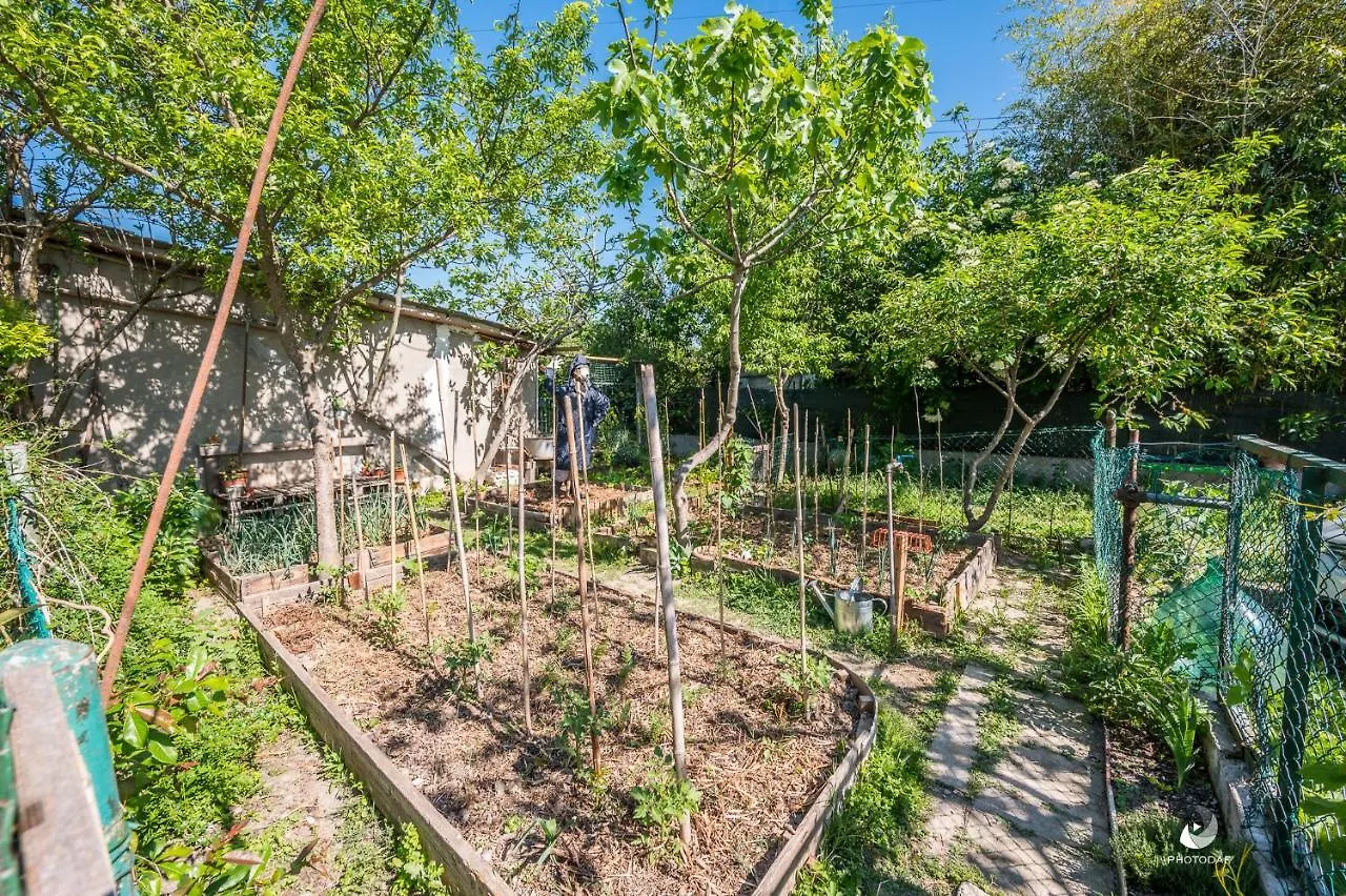 Bed and Breakfast Selvatica50 B&B Nonantola