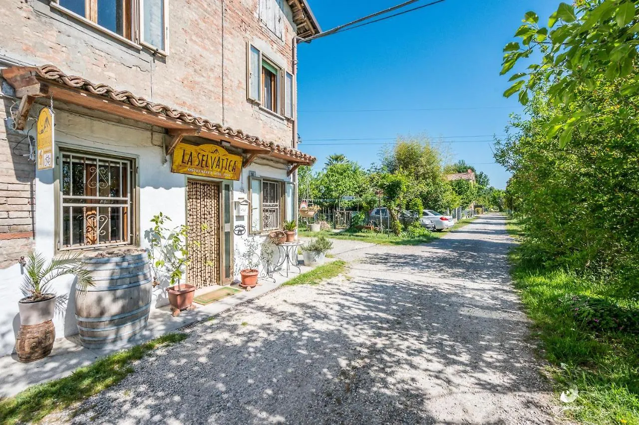 Selvatica50 B&B Nonantola Ιταλία