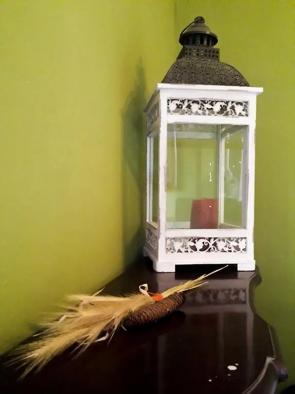 Selvatica50 B&B Nonantola